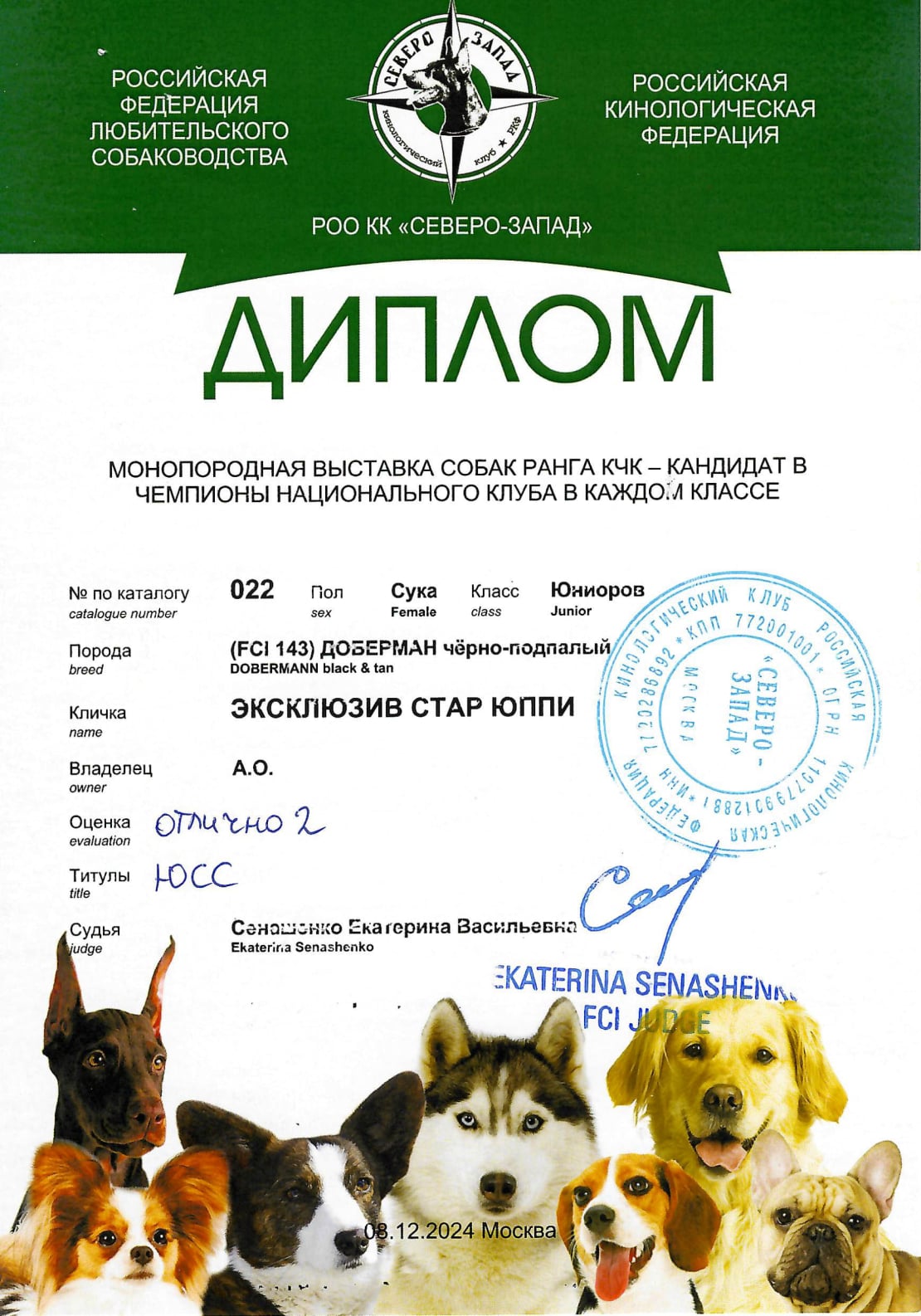 Doberman Rose foto