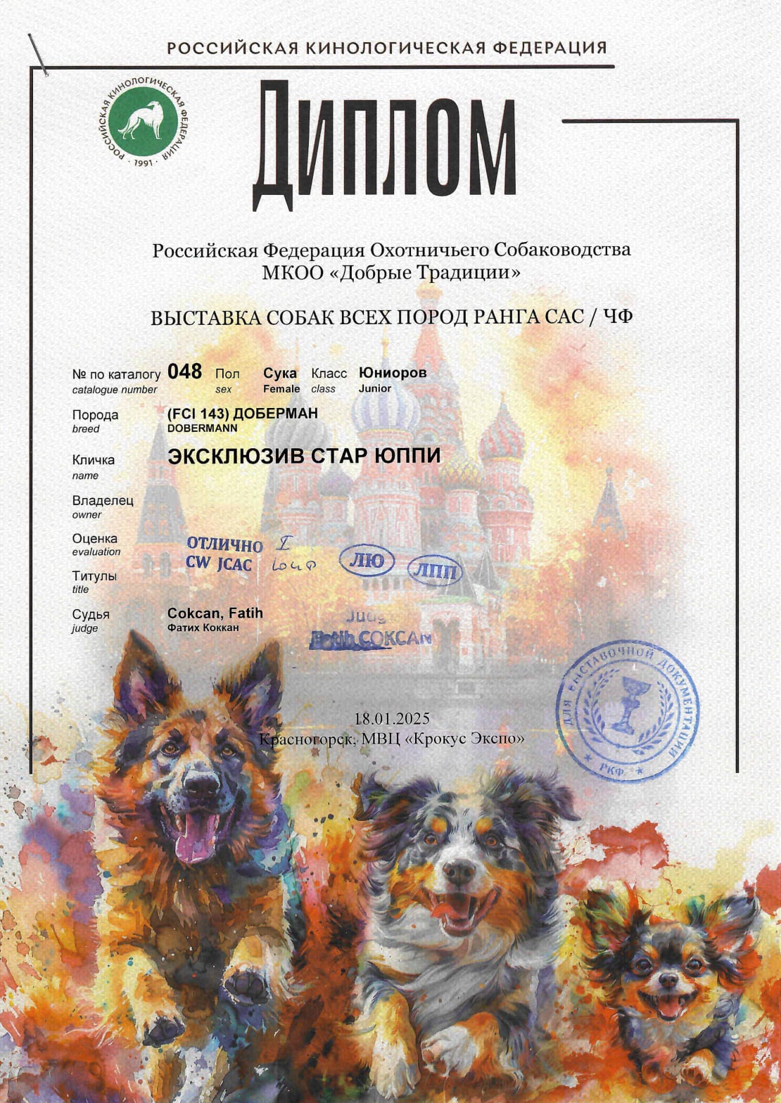Doberman Rose foto