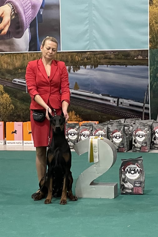 December 1, 2024 - ROSE - BEST IN SHOW