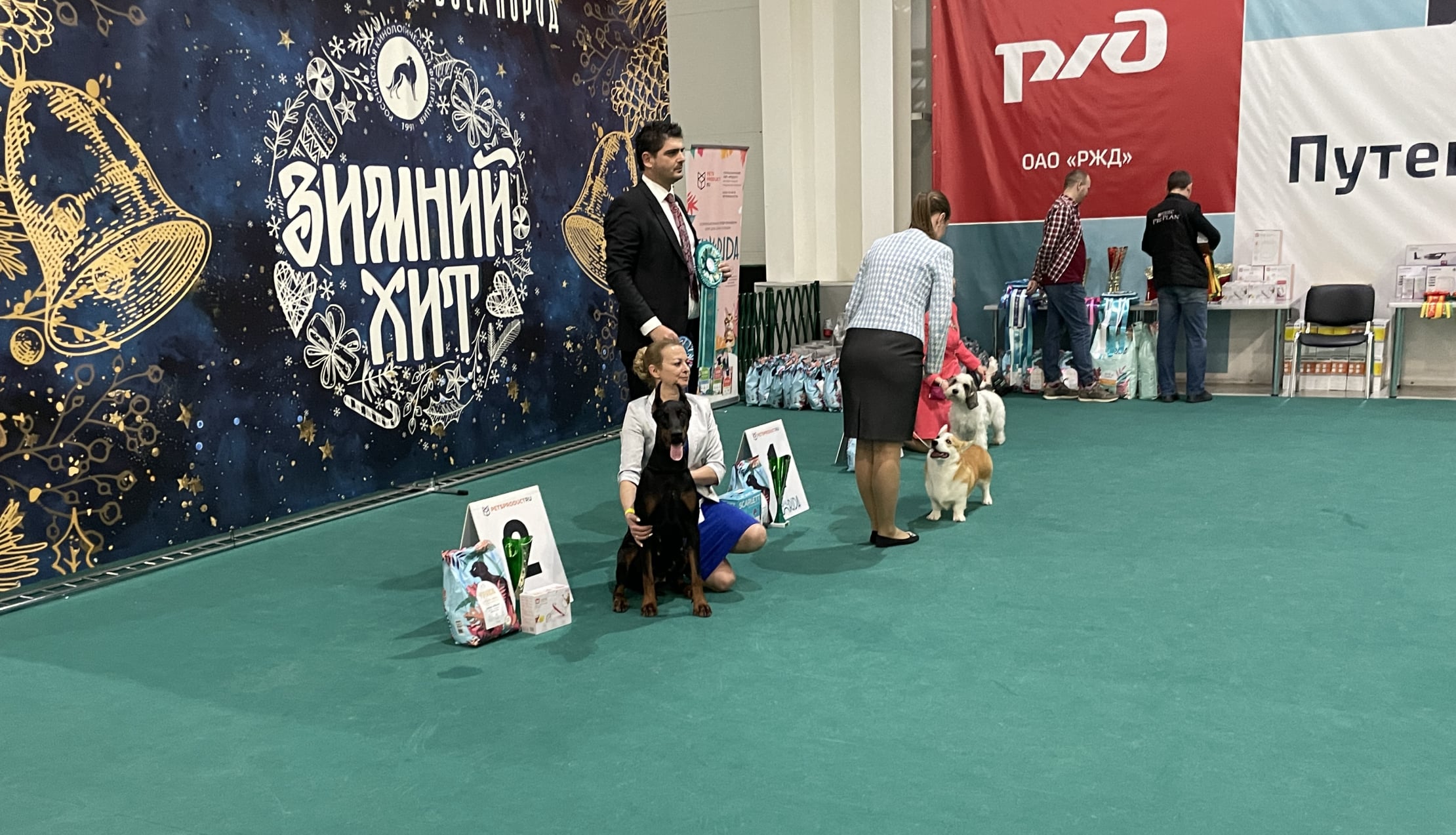 Doberman Rose foto
