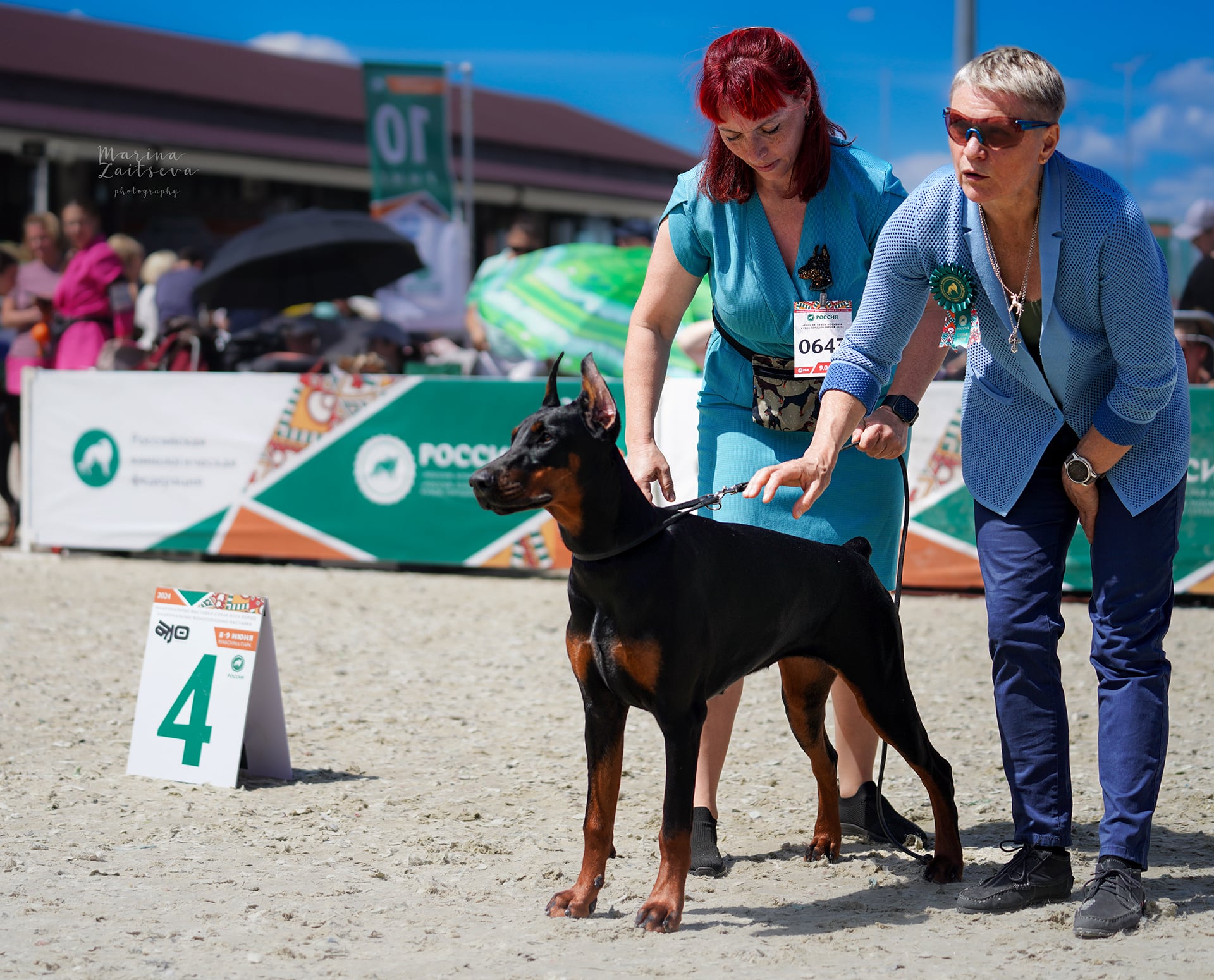 Doberman Rose foto