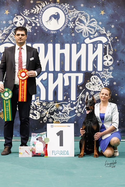 Rose - Выставка 18 января 2025 год