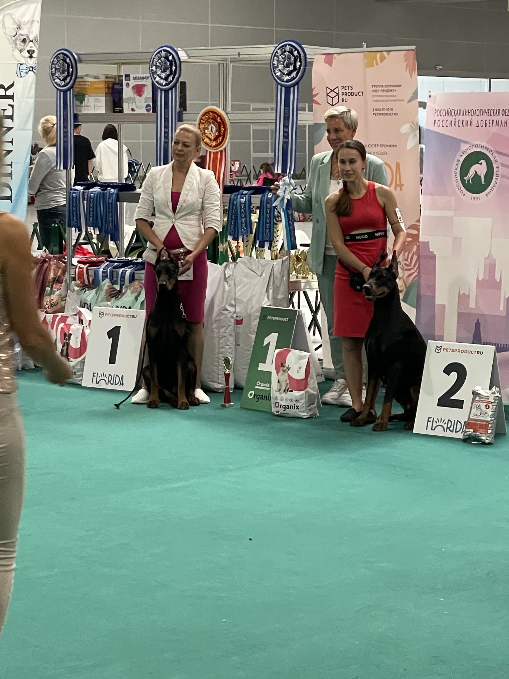 Doberman Rose foto