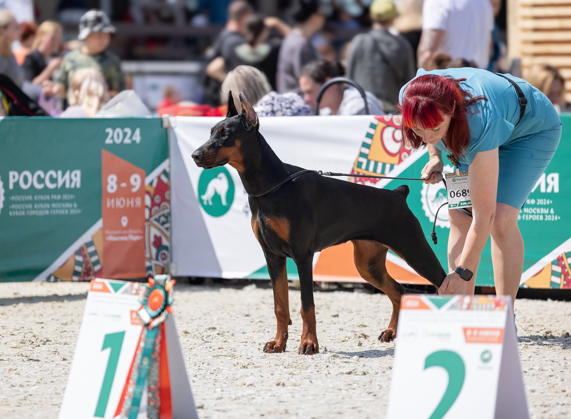 Doberman Rose foto