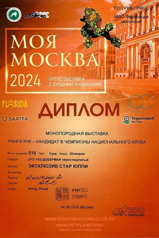 Rose - Выставка Монопородная выставка ранга КЧК - Моя Москва - 04 августа 2024 года