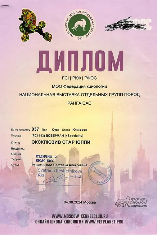 Rose - Выставка 04 августа 2024 года