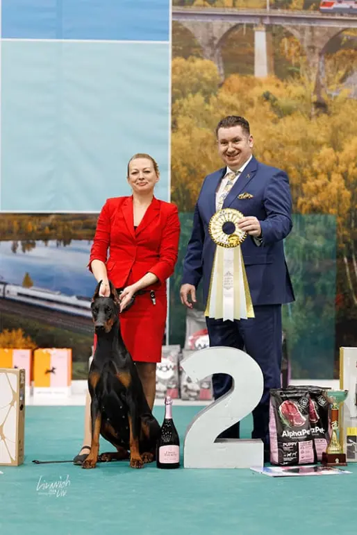 Rose - Выставка 1 декабря 2024 года