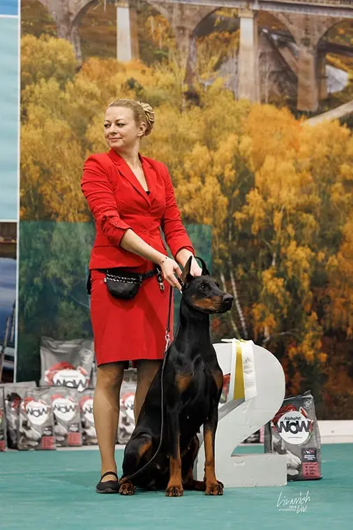 Rose - Выставка 1 декабря 2024 года