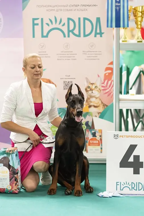 Rose - Выставка 11 августа 2024 года