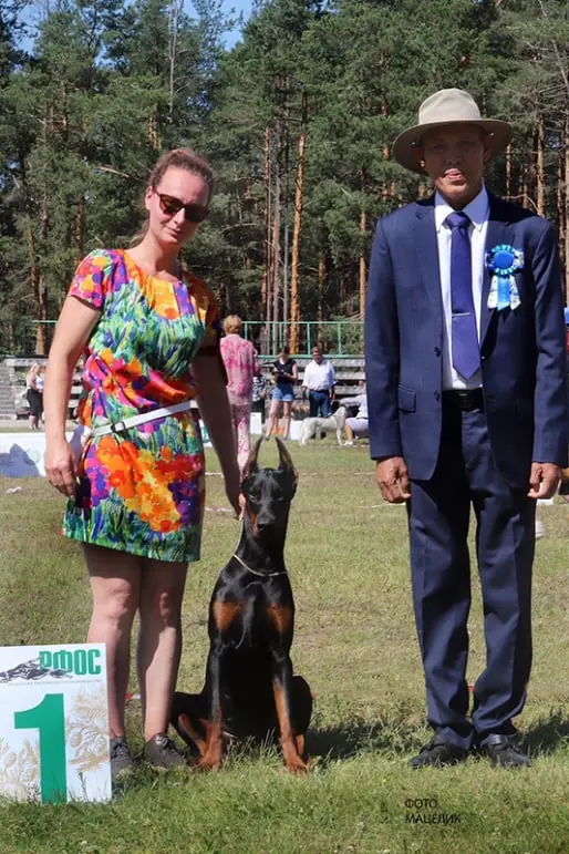 Rose - Выставка Владимир 2024 - Гран при "Золотого кольца" - 06 июля 2024 года