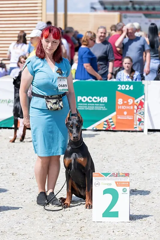 Rose - Выставка RUSSIA. RKF CUP 2024 - 08 июня 2024 года