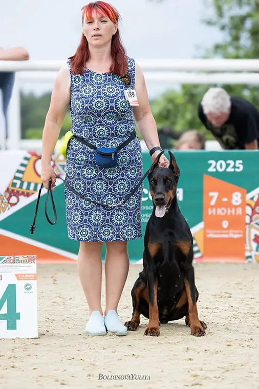 Rose - Выставка 07 июня 2025 год