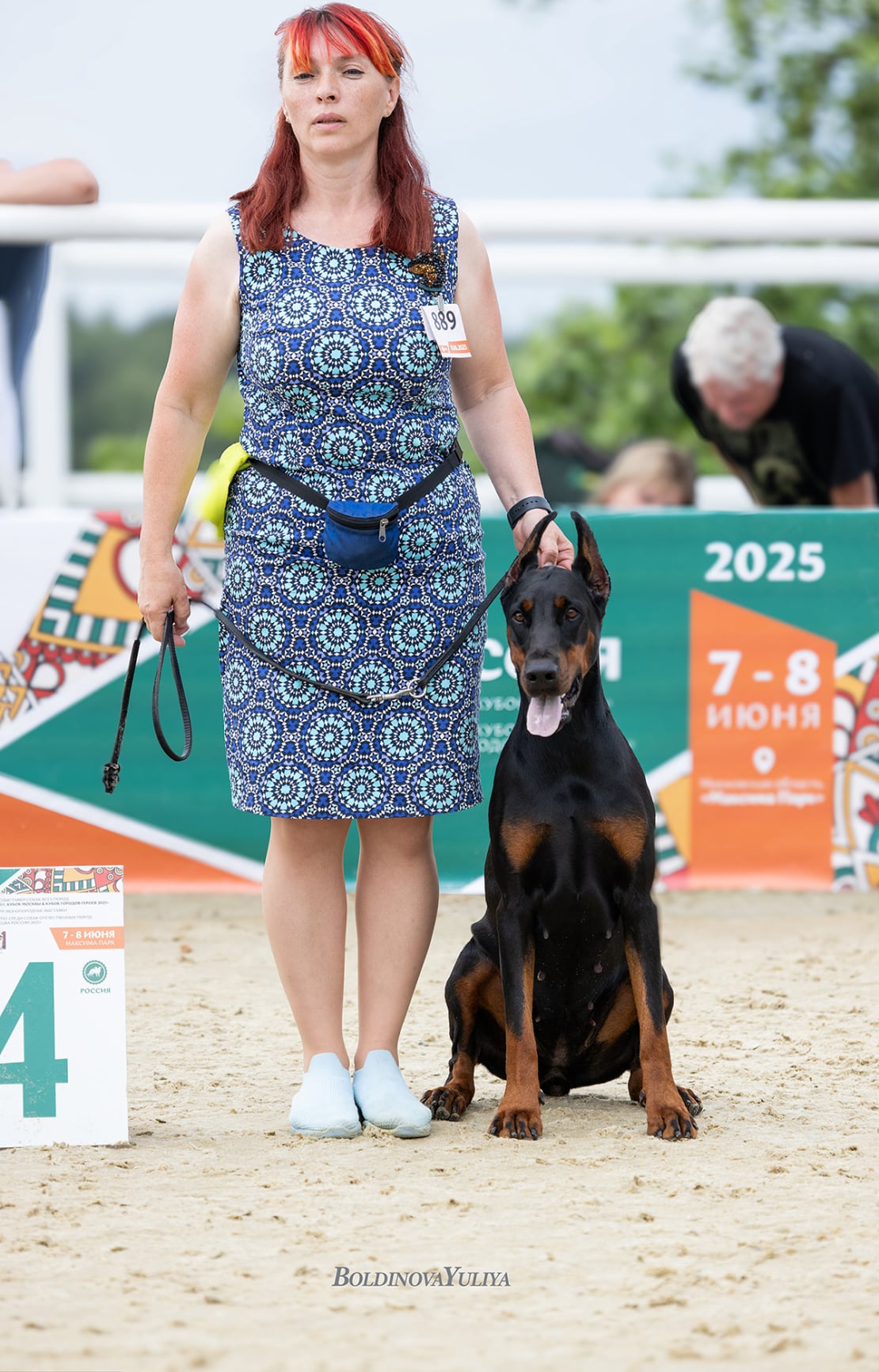 Doberman Rose foto