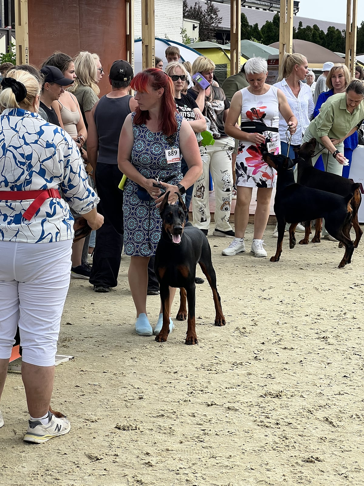 Doberman Rose foto