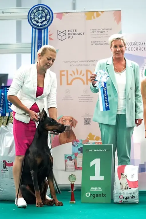 Rose - Выставка 11 августа 2024 года