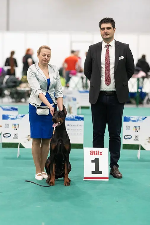 Rose - Выставка 18 января 2025 года