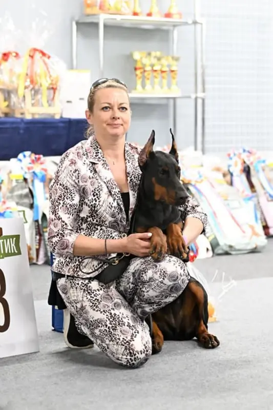 Rose - Выставка всех пород ранга САС / ЧФ - 20 апреля 2024 года