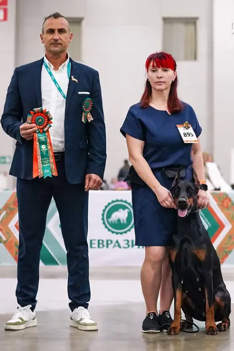 Rose - Выставка 16 ноября 2025 год - Евразия. Кубок СНГ 2025 2025