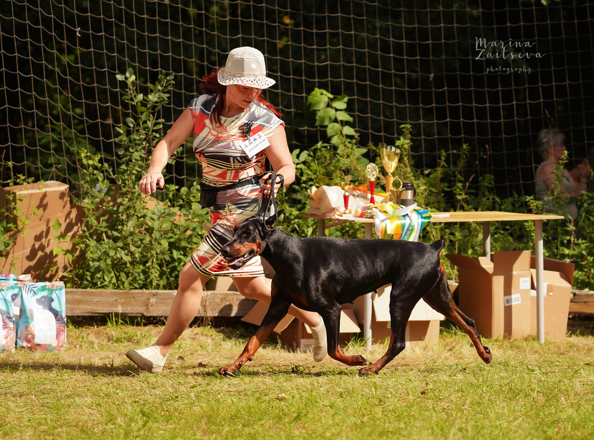 Doberman Rose foto