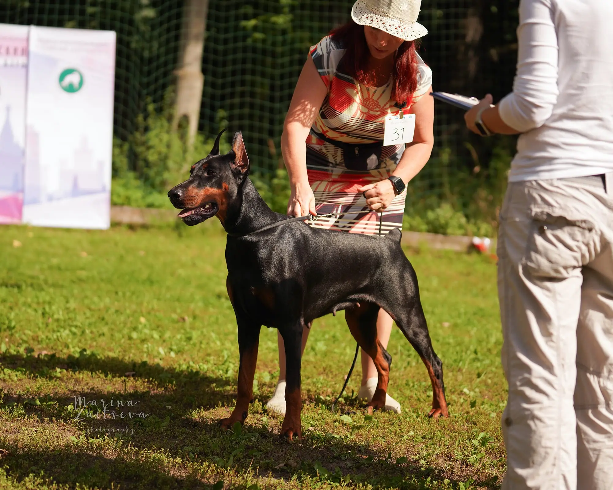 Doberman Rose foto