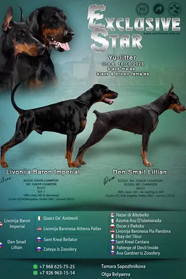 Dan Smile Lillian / Livonija Baron Imperial